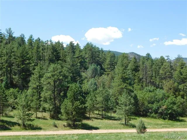 4668 Comanche Drive Larkspur, CO 80118