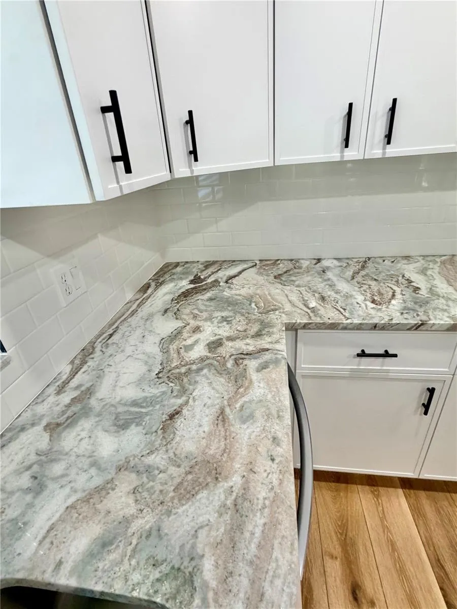 1202 MANDARIN DRIVE Holiday, FL 34691