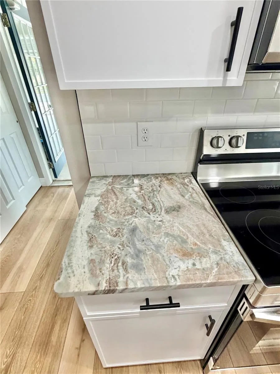 1202 MANDARIN DRIVE Holiday, FL 34691