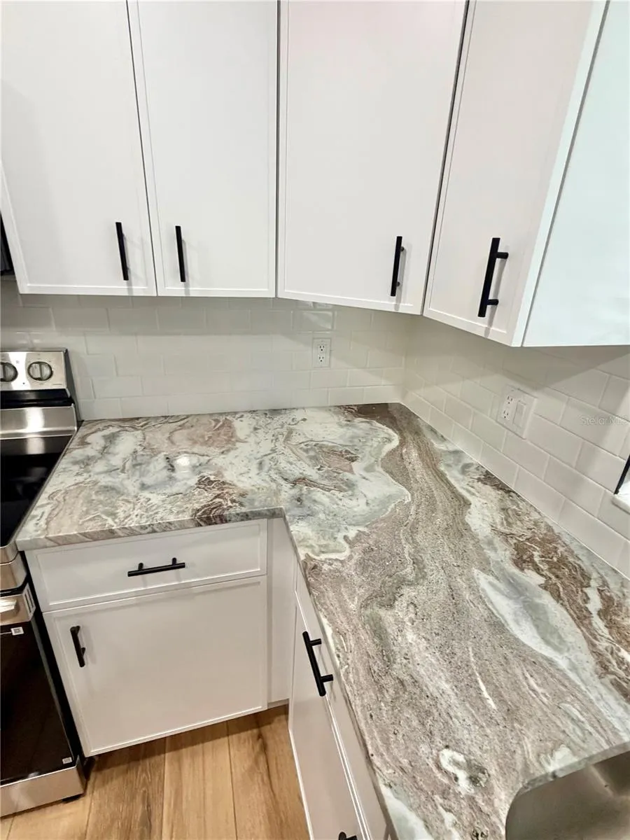 1202 MANDARIN DRIVE Holiday, FL 34691