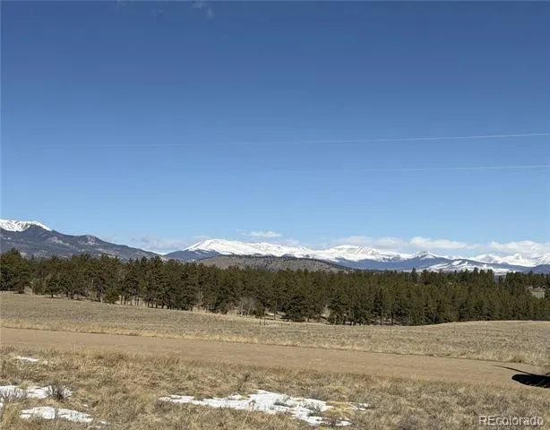 773 Hayhook Way Hartsel, CO 80449
