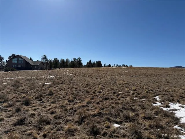 773 Hayhook Way Hartsel, CO 80449