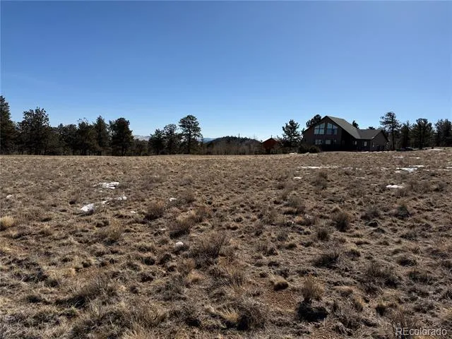773 Hayhook Way Hartsel, CO 80449
