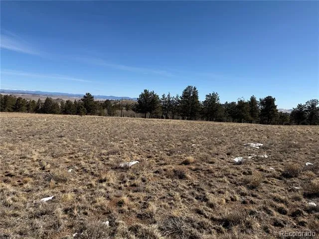 773 Hayhook Way Hartsel, CO 80449