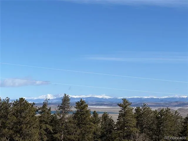 773 Hayhook Way Hartsel, CO 80449