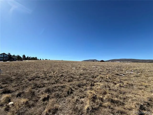 773 Hayhook Way Hartsel, CO 80449