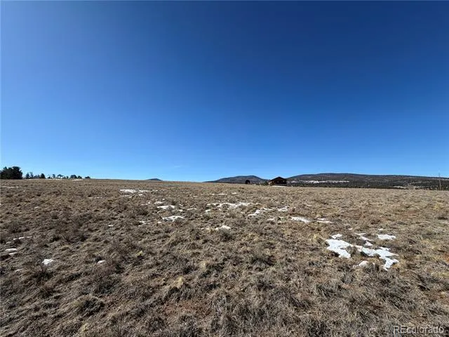 773 Hayhook Way Hartsel, CO 80449