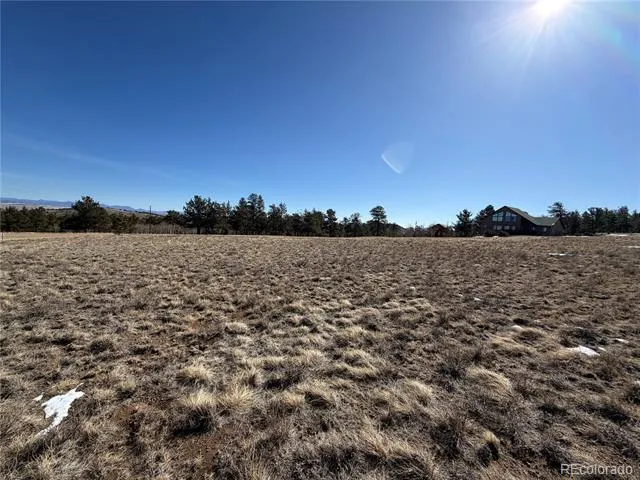 773 Hayhook Way Hartsel, CO 80449