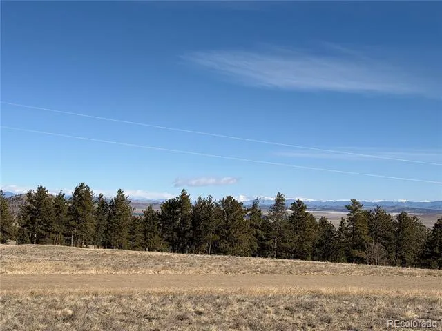 773 Hayhook Way Hartsel, CO 80449