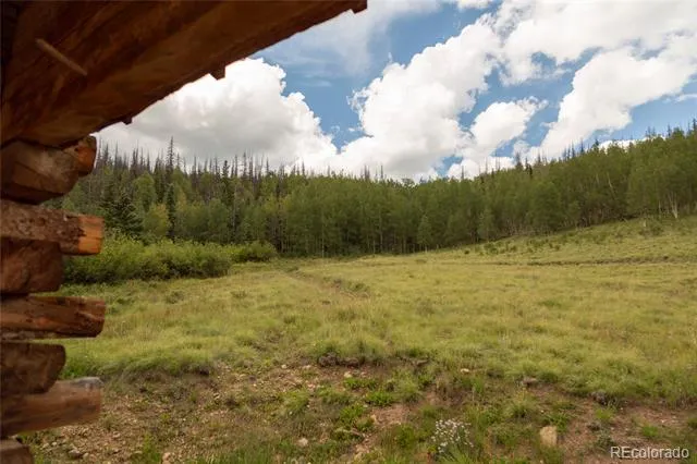1001 CR 17 Cebolla Cabin Lake City, CO 81235