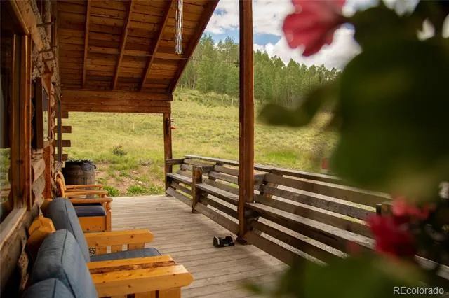 1001 CR 17 Cebolla Cabin Lake City, CO 81235