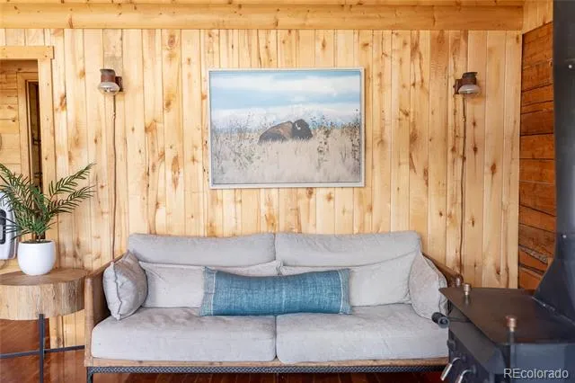 1001 CR 17 Cebolla Cabin Lake City, CO 81235
