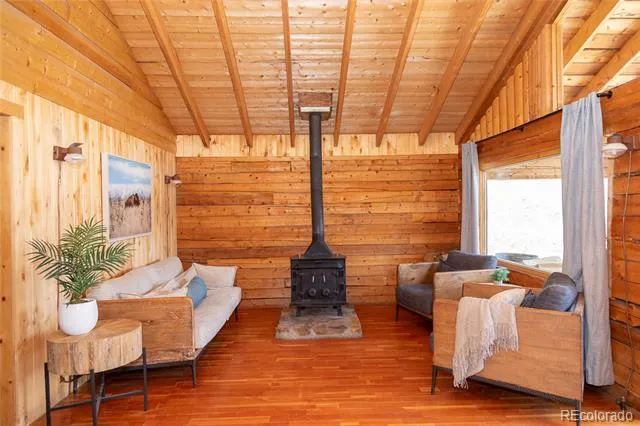 1001 CR 17 Cebolla Cabin Lake City, CO 81235