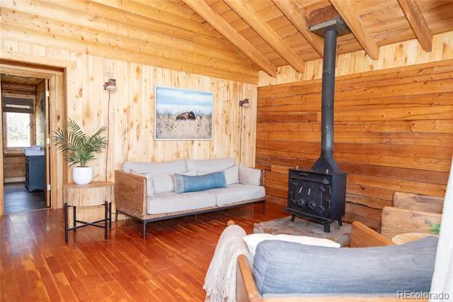1001 CR 17 Cebolla Cabin Lake City, CO 81235