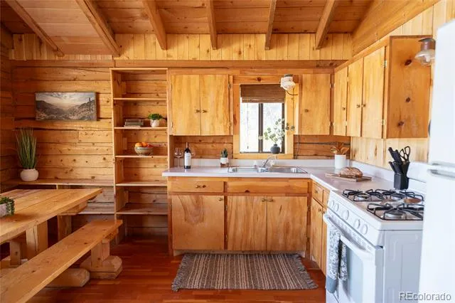 1001 CR 17 Cebolla Cabin Lake City, CO 81235