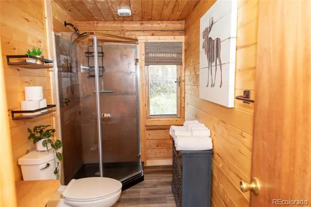 1001 CR 17 Cebolla Cabin Lake City, CO 81235