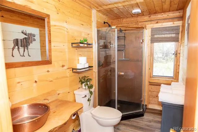 1001 CR 17 Cebolla Cabin Lake City, CO 81235