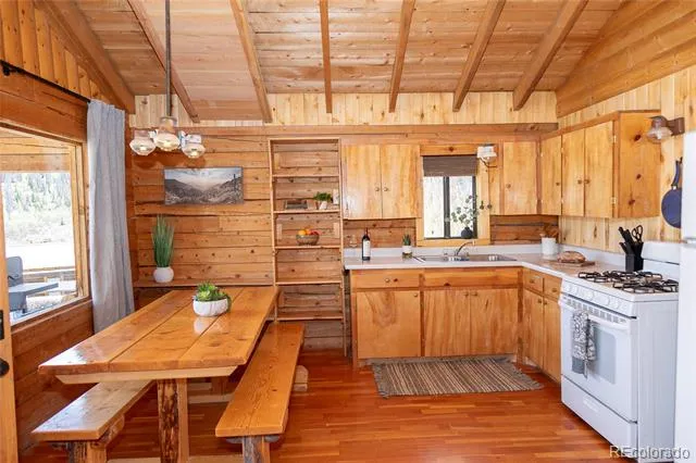 1001 CR 17 Cebolla Cabin Lake City, CO 81235