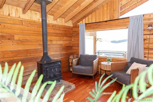 1001 CR 17 Cebolla Cabin Lake City, CO 81235