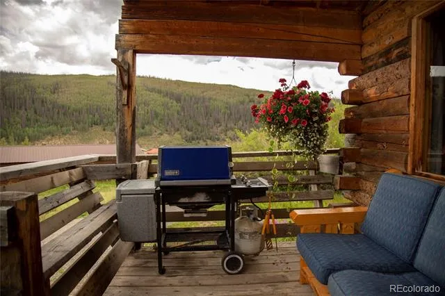 1001 CR 17 Cebolla Cabin Lake City, CO 81235
