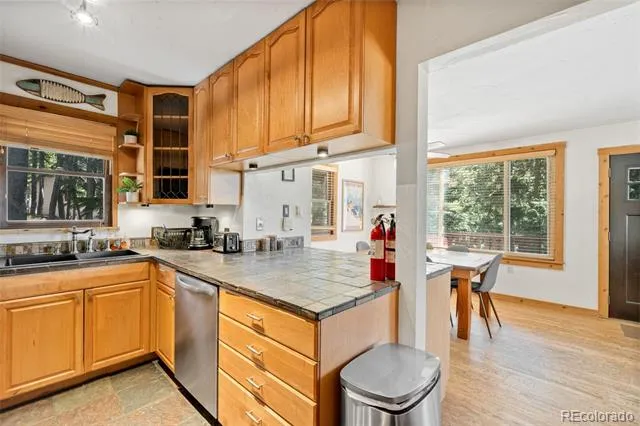 38 Brook Drive Idaho Springs, CO 80452