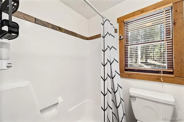 38 Brook Drive Idaho Springs, CO 80452
