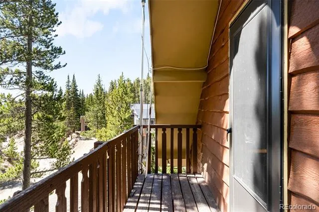 38 Brook Drive Idaho Springs, CO 80452