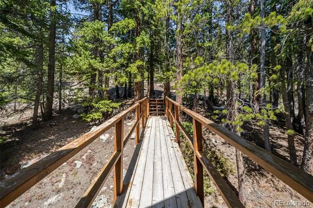 38 Brook Drive Idaho Springs, CO 80452