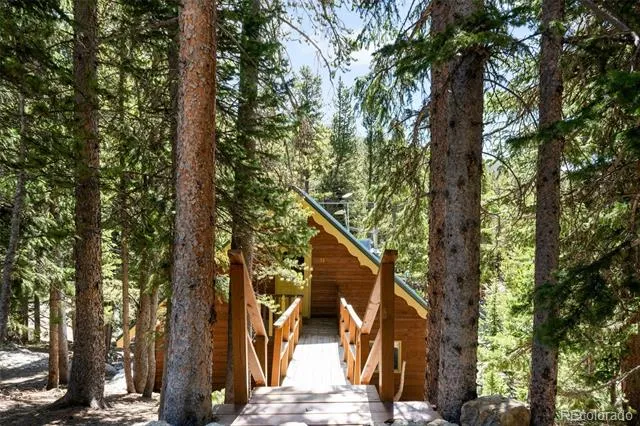 38 Brook Drive Idaho Springs, CO 80452