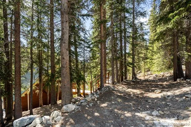 38 Brook Drive Idaho Springs, CO 80452