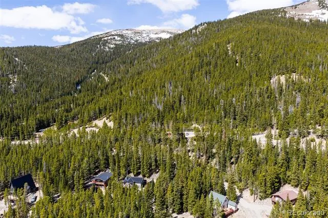 38 Brook Drive Idaho Springs, CO 80452