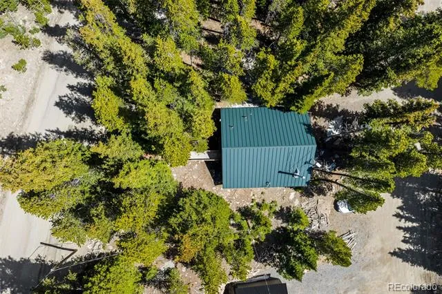 38 Brook Drive Idaho Springs, CO 80452