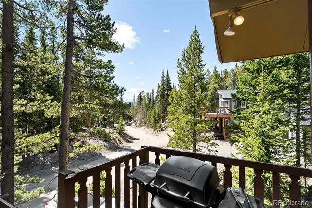 38 Brook Drive Idaho Springs, CO 80452