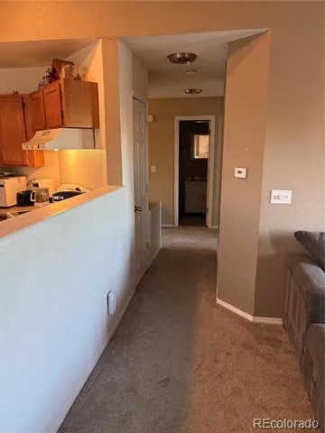 12342 Newport Court Brighton, CO 80602