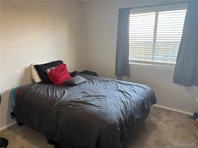 12342 Newport Court Brighton, CO 80602
