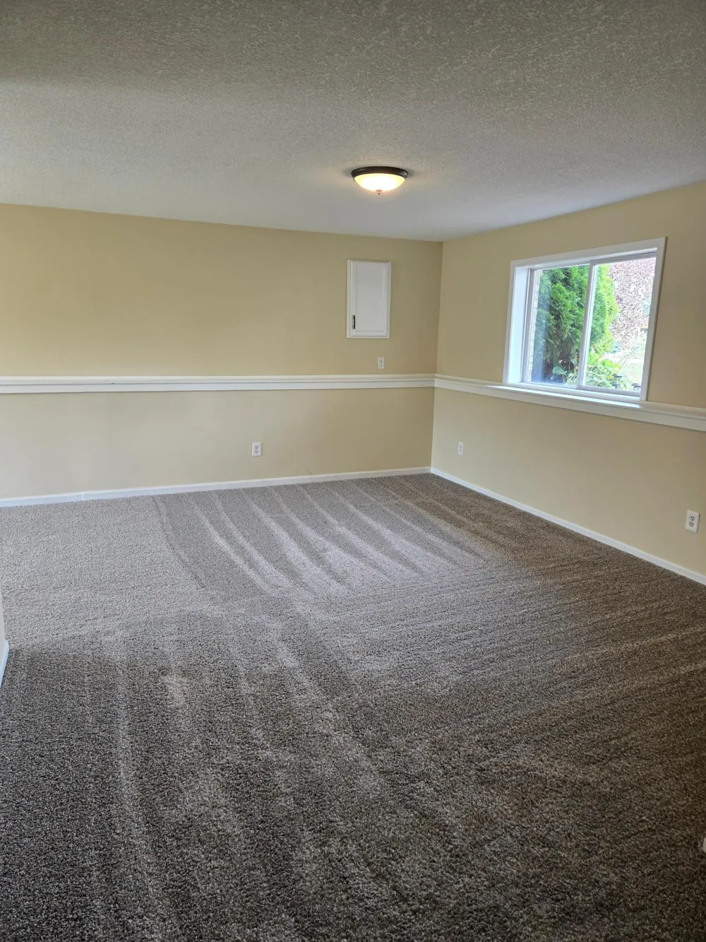 4355 Pintail Street Big Lake, MN 55309