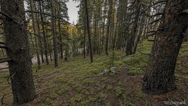 000 Steuart Road Idaho Springs, CO 80452