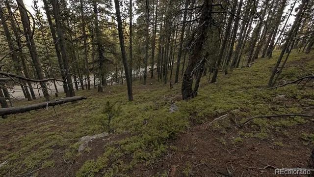000 Steuart Road Idaho Springs, CO 80452