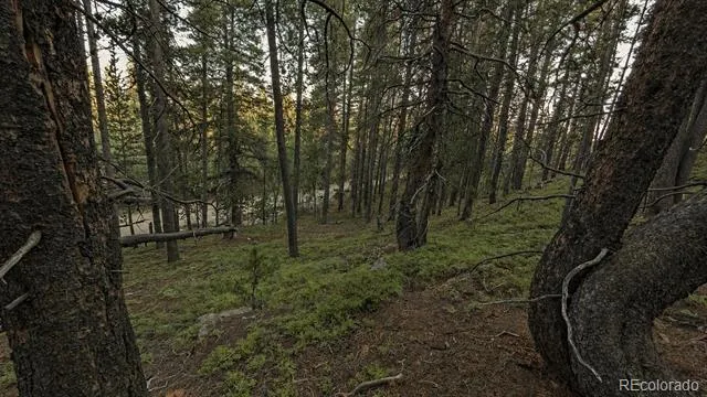 000 Steuart Road Idaho Springs, CO 80452