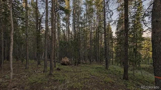 000 Steuart Road Idaho Springs, CO 80452
