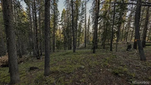 000 Steuart Road Idaho Springs, CO 80452