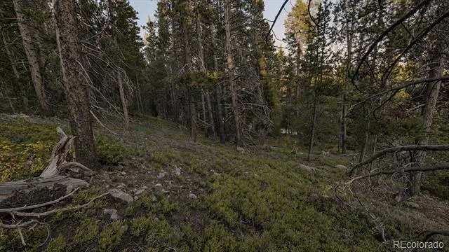 000 Steuart Road Idaho Springs, CO 80452