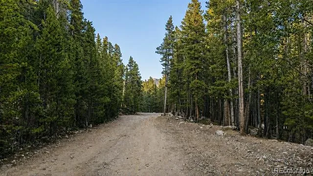 000 Steuart Road Idaho Springs, CO 80452