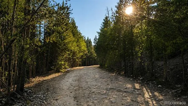 000 Steuart Road Idaho Springs, CO 80452