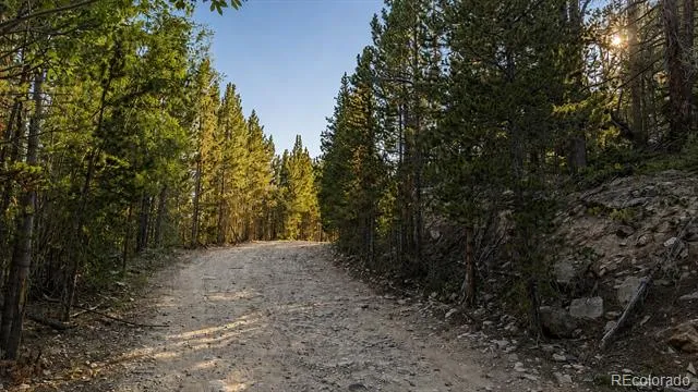 000 Steuart Road Idaho Springs, CO 80452