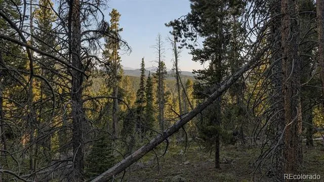 000 Steuart Road Idaho Springs, CO 80452