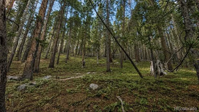 000 Steuart Road Idaho Springs, CO 80452