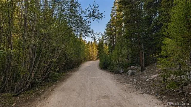 000 Steuart Road Idaho Springs, CO 80452