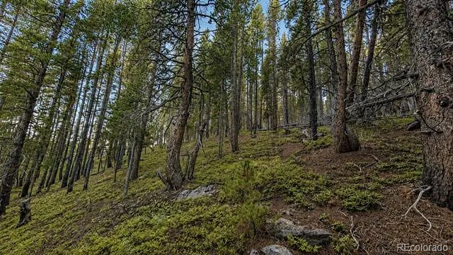000 Steuart Road Idaho Springs, CO 80452