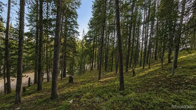000 Steuart Road Idaho Springs, CO 80452